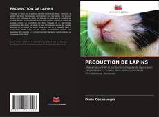 Buchcover von PRODUCTION DE LAPINS