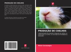 Buchcover von PRODUÇÃO DE COELHOS