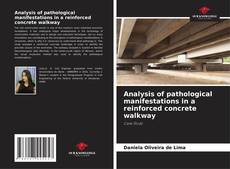 Buchcover von Analysis of pathological manifestations in a reinforced concrete walkway