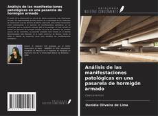 Bookcover of Análisis de las manifestaciones patológicas en una pasarela de hormigón armado