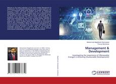 Buchcover von Management & Development