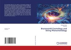 Couverture de Braneworld Cosmology and String Phenomenology