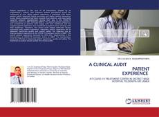 A CLINICAL AUDIT PATIENT EXPERIENCE kitap kapağı