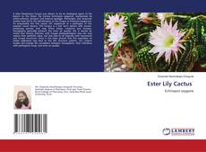 Buchcover von Ester Lily Cactus
