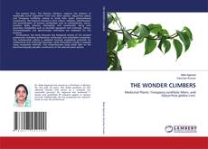 Обложка THE WONDER CLIMBERS