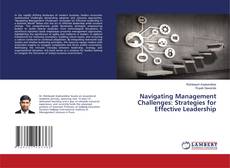 Buchcover von Navigating Management Challenges: Strategies for Effective Leadership