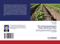 Copertina di The Entomopathogenic fungi: Nomuraea rileyi