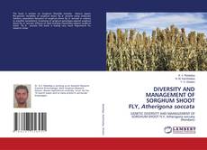 Обложка DIVERSITY AND MANAGEMENT OF SORGHUM SHOOT FLY, Atherigona soccata