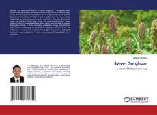 Copertina di Sweet Sorghum