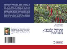 Buchcover von Improving Sugarcane Productivity with Chilli Intercropping