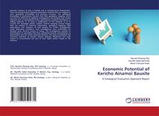 Couverture de Economic Potential of Kericho Ainamoi Bauxite