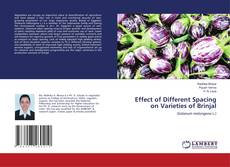 Copertina di Effect of Different Spacing on Varieties of Brinjal