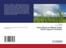 Capa do livro de Grain Borer on Wheat Under North Gujarat Condition 