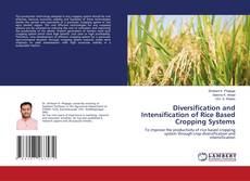 Buchcover von Diversification and Intensification of Rice Based Cropping Systems