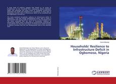 Copertina di Households' Resilience to Infrastructure Deficit in Ogbomoso, Nigeria