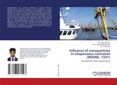Buchcover von Influence of nanoparticles in Litopenaeus vannamei (BOONE, 1931)