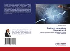 Copertina di Business Incubation Management
