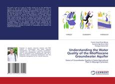 Buchcover von Understanding the Water Quality of the MioPliocene Groundwater Aquifer