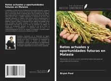 Copertina di Retos actuales y oportunidades futuras en Malasia