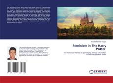 Bookcover of Feminism in The Harry Potter