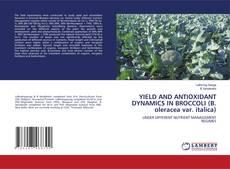 Bookcover of YIELD AND ANTIOXIDANT DYNAMICS IN BROCCOLI (B. oleracea var. italica)