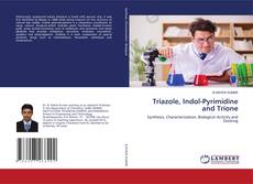 Buchcover von Triazole, Indol-Pyrimidine and Trione