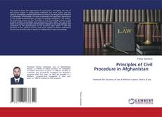 Copertina di Principles of Civil Procedure in Afghanistan