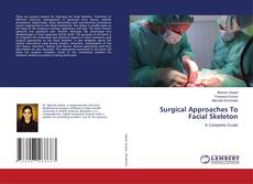 Surgical Approaches To Facial Skeleton kitap kapağı