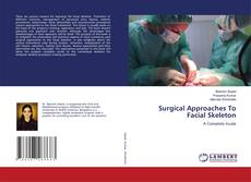 Copertina di Surgical Approaches To Facial Skeleton