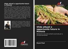 Sfide attuali e opportunità future in Malesia kitap kapağı