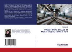 Couverture de TRANSITIONAL SPACES IN MULTI-MODAL TRANSIT HUB