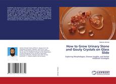 Copertina di How to Grow Urinary Stone and Gouty Crystals on Glass Slide