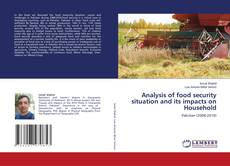Buchcover von Analysis of food security situation and its impacts on Household