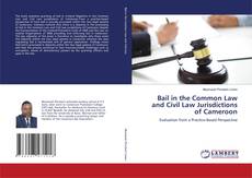 Bail in the Common Law and Civil Law Jurisdictions of Cameroon kitap kapağı