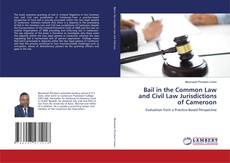 Buchcover von Bail in the Common Law and Civil Law Jurisdictions of Cameroon