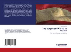 Bookcover of The Burgenland Croats in Austria