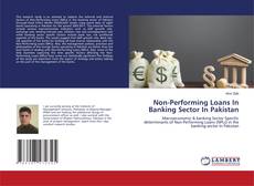 Copertina di Non-Performing Loans In Banking Sector In Pakistan