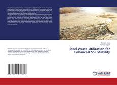 Portada del libro de Steel Waste Utilization for Enhanced Soil Stability