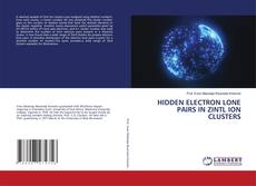 HIDDEN ELECTRON LONE PAIRS IN ZINTL ION CLUSTERS kitap kapağı