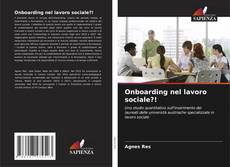 Capa do livro de Onboarding nel lavoro sociale?! 