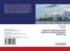 Buchcover von Beyond Turbulence: New Horizons in River Pollution Modeling
