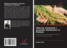 Portada del libro de Obecne wyzwania i przyszłe możliwości w Malezji