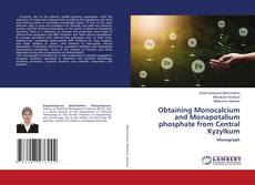 Buchcover von Obtaining Monocalcium and Monapotalium phosphate from Central Kyzylkum