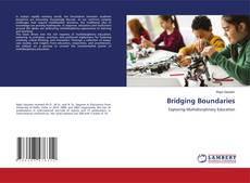 Bridging Boundaries kitap kapağı