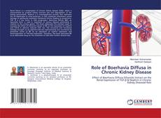 Bookcover of Role of Boerhavia Diffusa in Chronic Kidney Disease