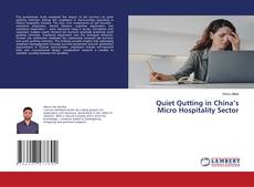 Quiet Qutting in China’s Micro Hospitality Sector kitap kapağı