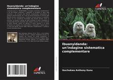 Copertina di Ibuanyidanda: un'indagine sistematica complementare