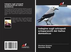 Portada del libro de Indagine sugli artropodi ectoparassiti del Gallus domesticus