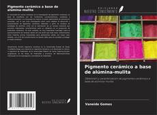 Buchcover von Pigmento cerámico a base de alúmina-mulita