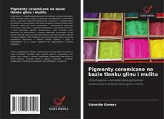Copertina di Pigmenty ceramiczne na bazie tlenku glinu i mulitu